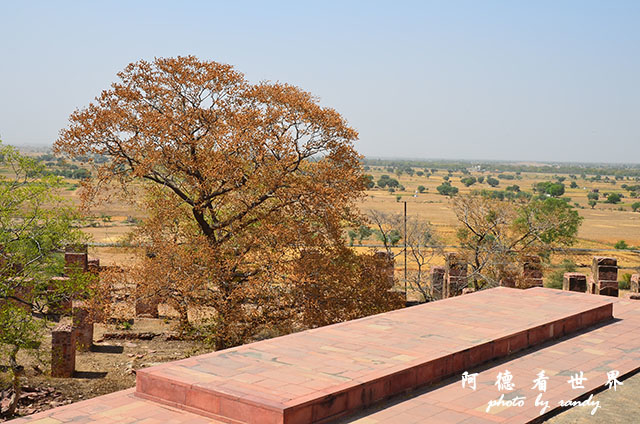 agra1D7000 121.JPG agra1D7000 121.JPG