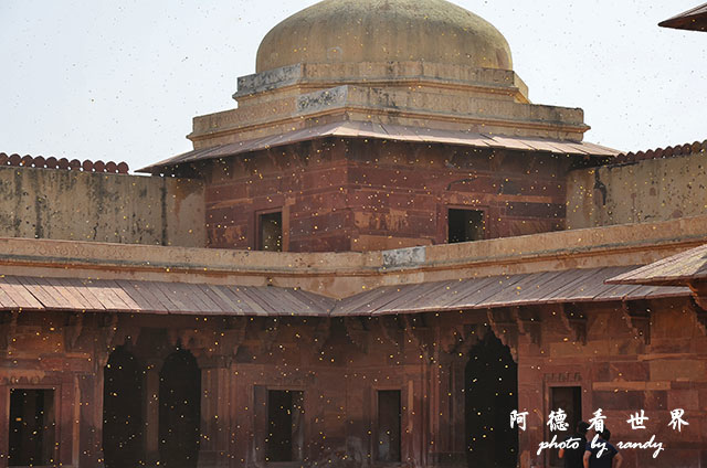 agra1D7000 209.JPG agra1D7000 209.JPG