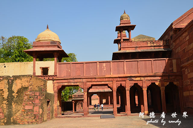 agra1D7000 217.JPG agra1D7000 217.JPG