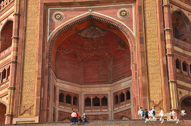 agra1D7000 235.JPG agra1D7000 235.JPG