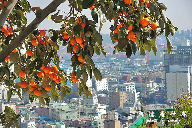 釜山4-P7700 028.JPG