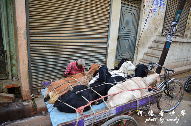 varanasi1-2D7000 008.JPG