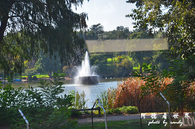 johannesburg3D7000 005.JPG johannesburg3D7000 005.JPG