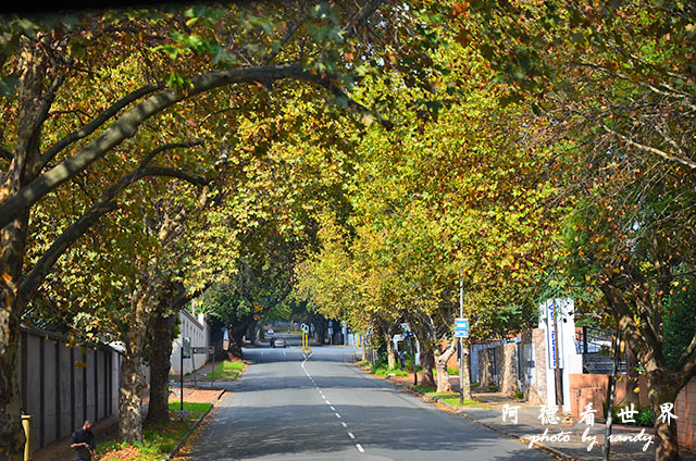 johannesburg3D7000 016.JPG johannesburg3D7000 016.JPG