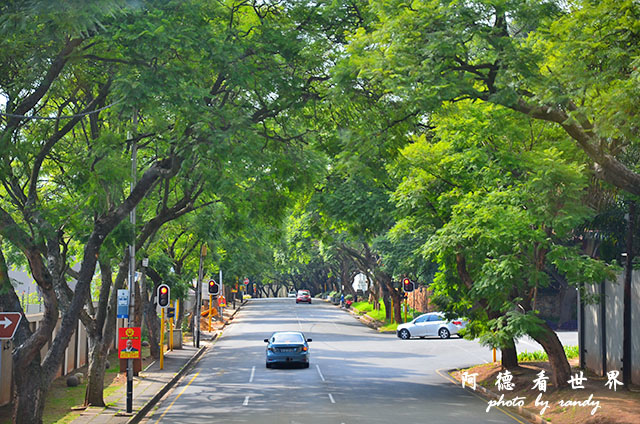 johannesburg3D7000 017.JPG johannesburg3D7000 017.JPG