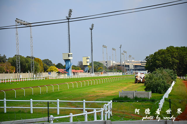 johannesburg3D7000 090.JPG johannesburg3D7000 090.JPG