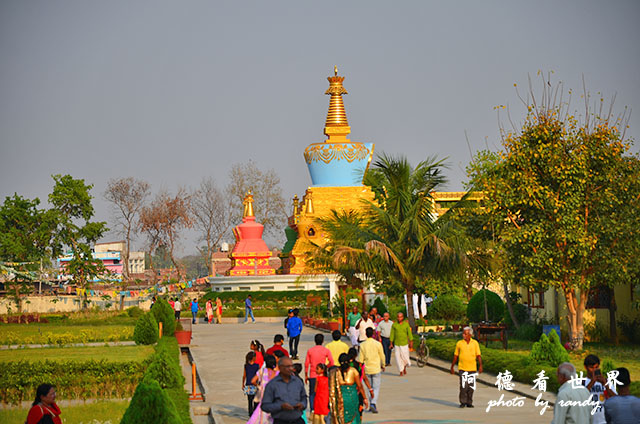 kolkata1D7000 016.JPG kolkata1D7000 016.JPG