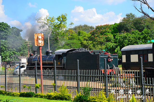 victoria2D7000 171.JPG victoria2D7000 171.JPG