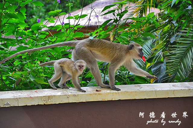 victoria2D7000 201.JPG victoria2D7000 201.JPG