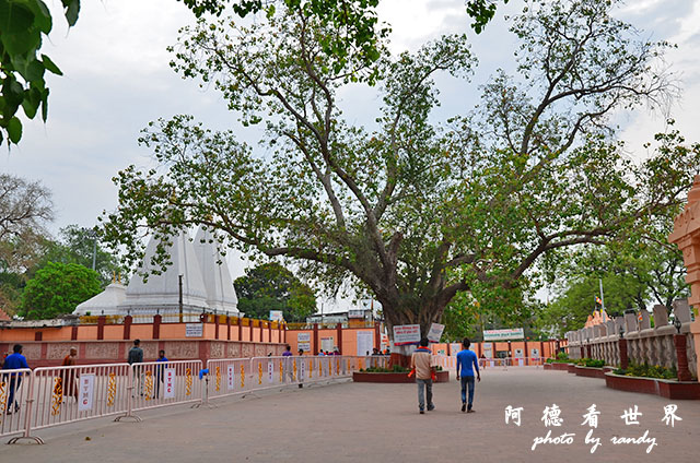 bodhgaya2D7000 006.JPG