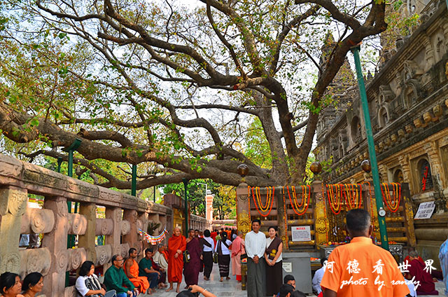 bodhgaya2D7000 037.JPG