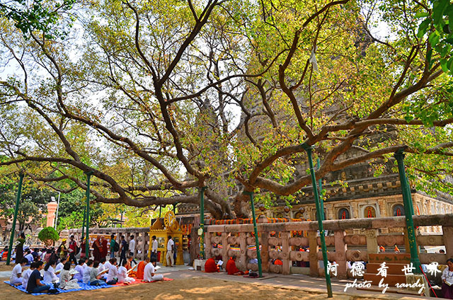 bodhgaya2D7000 058.JPG