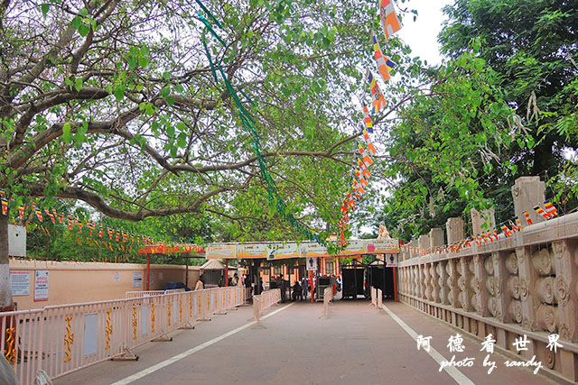 bodhgaya2P7700 008.JPG