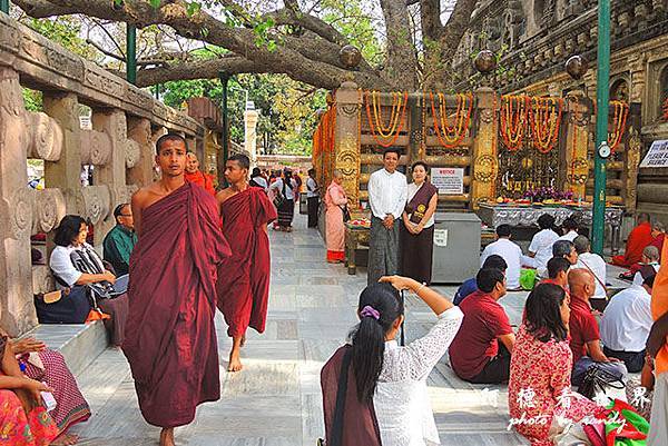 bodhgaya2P7700 040.JPG