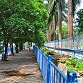 kolkata2D7000 018.JPG