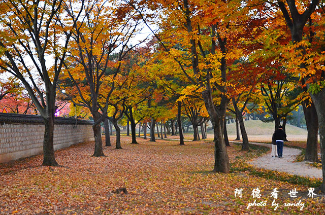 慶州1D7000 242.JPG