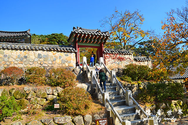 慶州2D7000 142.JPG