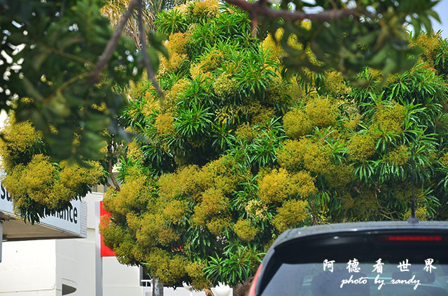 knysna1D7000 004.JPG knysna1D7000 004.JPG