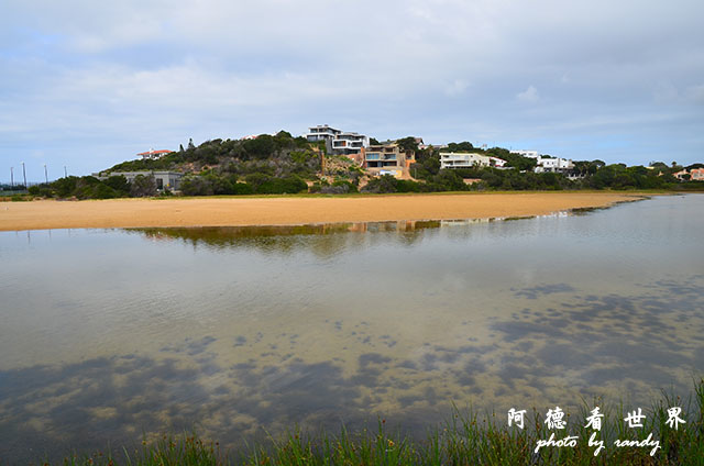 knysna1D7000 010.JPG