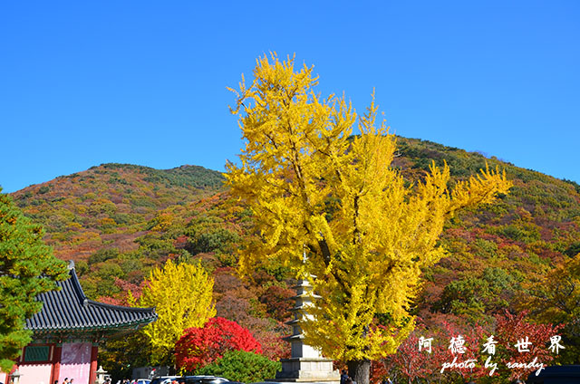 釜山2D7000 022.JPG