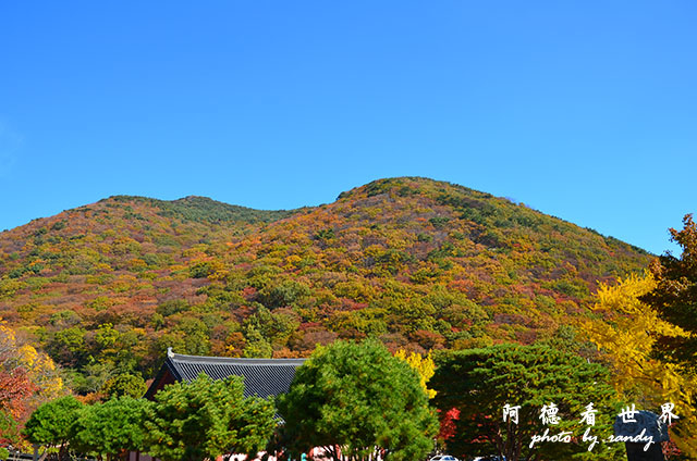 釜山2D7000 025.JPG