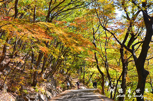 釜山2D7000 075.JPG