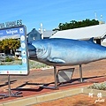 knysna3D7000 205.JPG