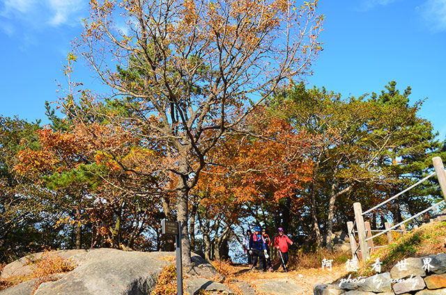 釜山2D7000 153.JPG