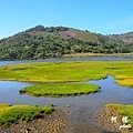 knysna3D7000 149.JPG