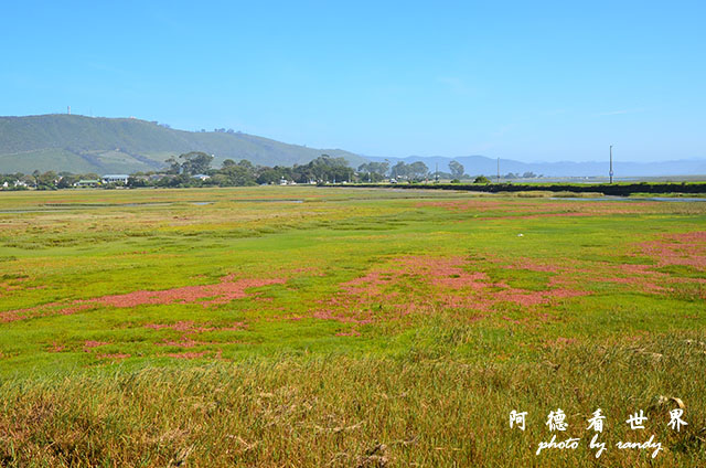 knysna3D7000 152.JPG