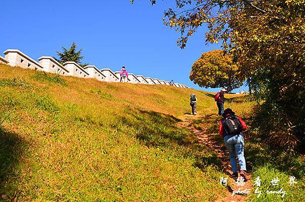 釜山3D7000 009.JPG