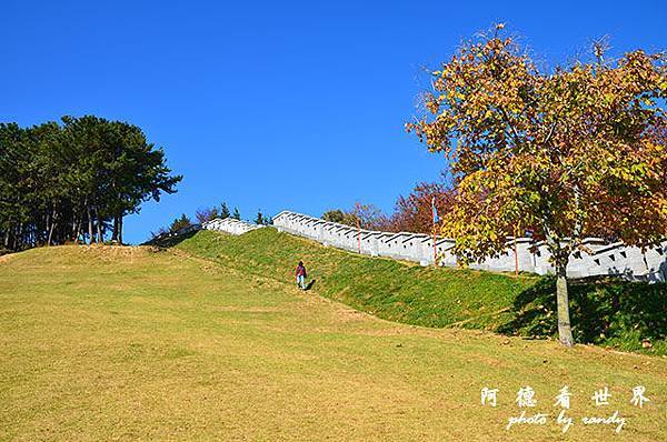 釜山3D7000 037.JPG