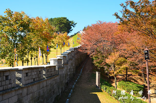 釜山3D7000 048.JPG