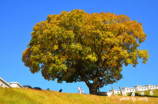 釜山3D7000 014.JPG