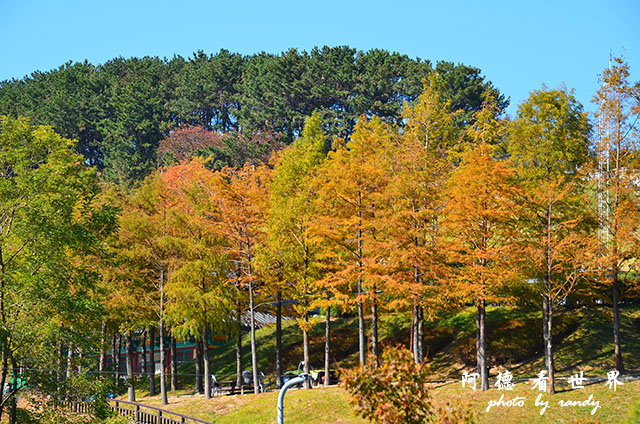 釜山3D7000 124.JPG