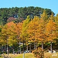 釜山3D7000 124.JPG