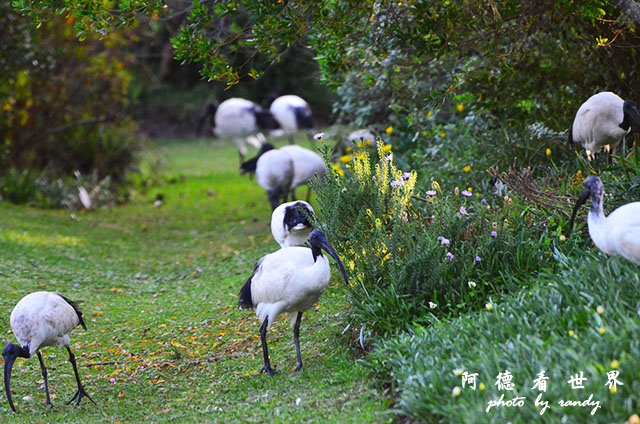 knysna3D7000 277.JPG