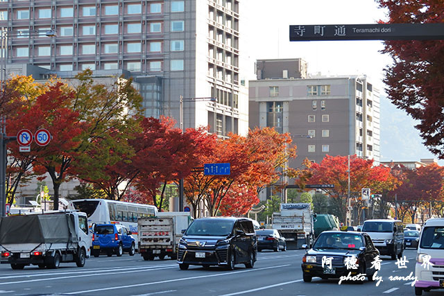 京都2SX740 003.JPG