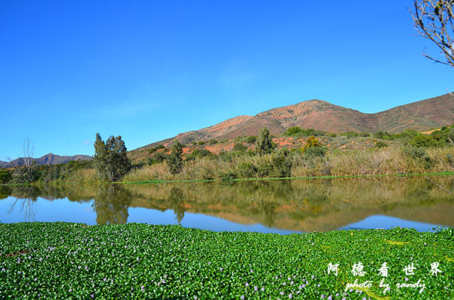 swellendamD7000 082.JPG