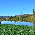 swellendamD7000 083.JPG