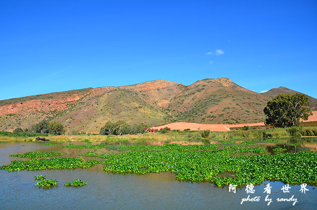 swellendamD7000 126.JPG