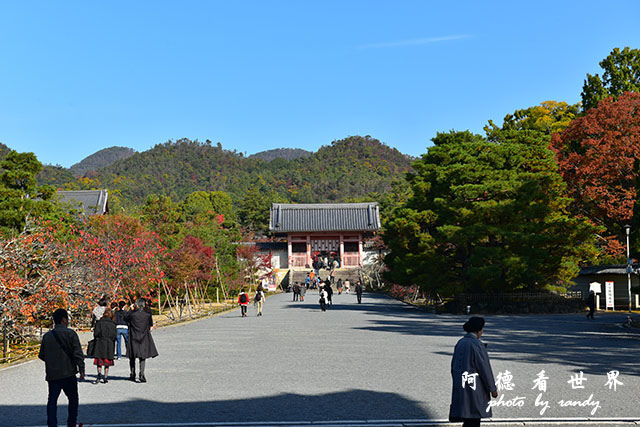 京都1D810 027.JPG