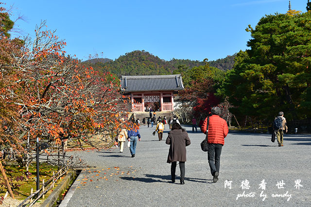 京都1D810 029.JPG