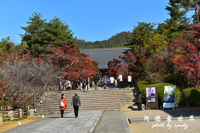 京都1D810 037.JPG