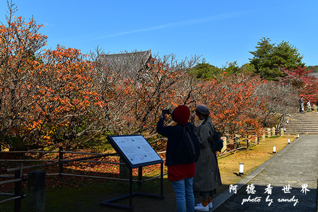 京都1D810 039.JPG