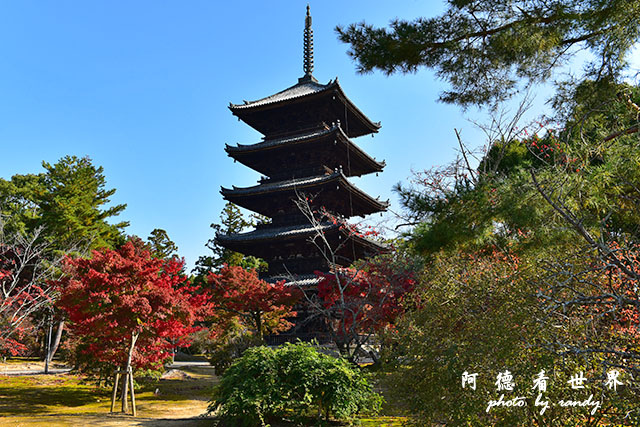 京都1D810 043.JPG