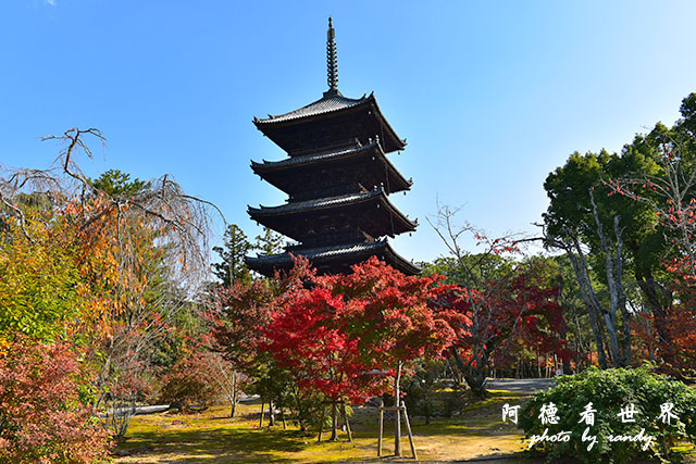 京都1D810 045.JPG