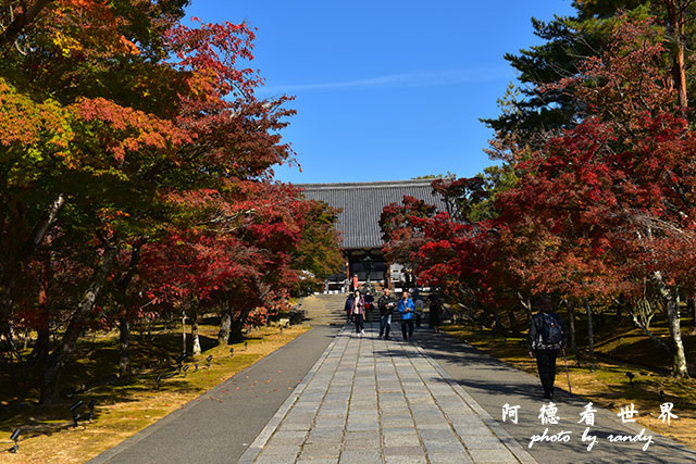 京都1D810 046.JPG