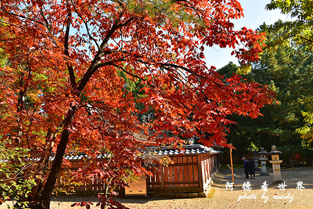 京都1D810 057.JPG