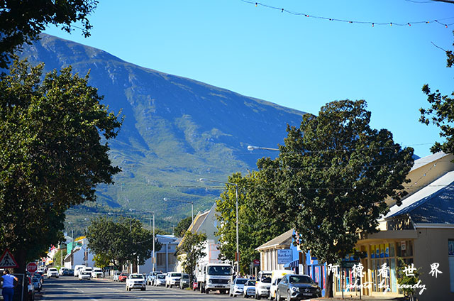 swellendamD7000 265.JPG